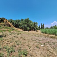 Island in Greece, Ionian Islands, Corfu, 12000 sq.m.
