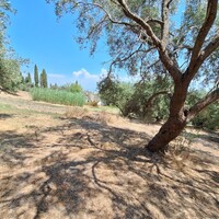 Island in Greece, Ionian Islands, Corfu, 12000 sq.m.