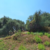 Island in Greece, Ionian Islands, Corfu, 12000 sq.m.