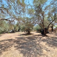Island in Greece, Ionian Islands, Corfu, 12000 sq.m.