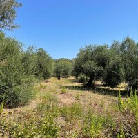 Остров в Греции, Ионические острова, Корфу, 4030 кв.м.