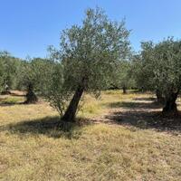Остров в Греции, Ионические острова, Корфу, 4030 кв.м.