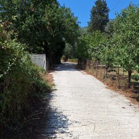 Island in Greece, Ionian Islands, Corfu, 4683 sq.m.