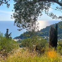Island in Greece, Ionian Islands, Corfu, 2603 sq.m.