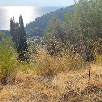 Island in Greece, Ionian Islands, Corfu, 2603 sq.m.