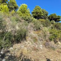 Island in Greece, Ionian Islands, Corfu, 2603 sq.m.