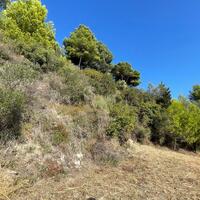 Island in Greece, Ionian Islands, Corfu, 2603 sq.m.