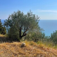 Island in Greece, Ionian Islands, Corfu, 2603 sq.m.