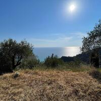 Island in Greece, Ionian Islands, Corfu, 2603 sq.m.