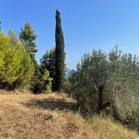 Island in Greece, Ionian Islands, Corfu, 2603 sq.m.