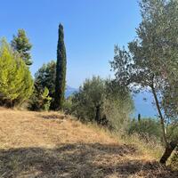Island in Greece, Ionian Islands, Corfu, 2603 sq.m.