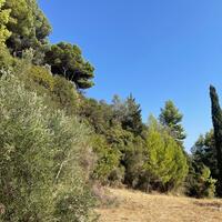 Island in Greece, Ionian Islands, Corfu, 2603 sq.m.