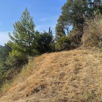 Island in Greece, Ionian Islands, Corfu, 2603 sq.m.