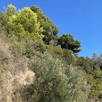 Island in Greece, Ionian Islands, Corfu, 2603 sq.m.