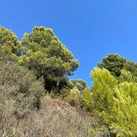 Island in Greece, Ionian Islands, Corfu, 2603 sq.m.