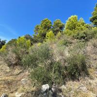 Island in Greece, Ionian Islands, Corfu, 2603 sq.m.