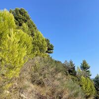 Island in Greece, Ionian Islands, Corfu, 2603 sq.m.