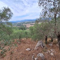Island in Greece, Ionian Islands, Corfu, 13000 sq.m.