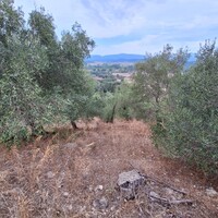 Island in Greece, Ionian Islands, Corfu, 13000 sq.m.