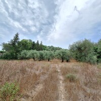 Island in Greece, Ionian Islands, Corfu, 13000 sq.m.