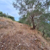 Island in Greece, Ionian Islands, Corfu, 13000 sq.m.