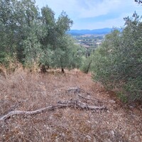 Island in Greece, Ionian Islands, Corfu, 13000 sq.m.