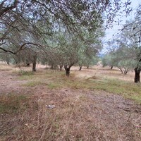 Остров в Греции, Ионические острова, Корфу, 5500 кв.м.