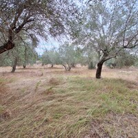 Остров в Греции, Ионические острова, Корфу, 5500 кв.м.