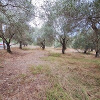 Остров в Греции, Ионические острова, Корфу, 5500 кв.м.