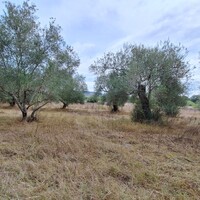 Остров в Греции, Ионические острова, Корфу, 5500 кв.м.