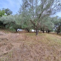 Остров в Греции, Ионические острова, Корфу, 5500 кв.м.