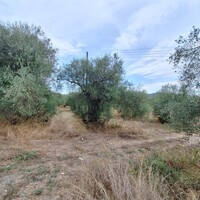 Остров в Греции, Ионические острова, Корфу, 5500 кв.м.