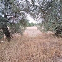 Остров в Греции, Ионические острова, Корфу, 5500 кв.м.
