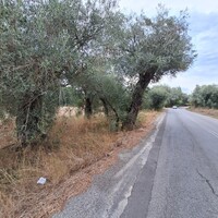 Остров в Греции, Ионические острова, Корфу, 5500 кв.м.