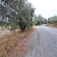 Остров в Греции, Ионические острова, Корфу, 5500 кв.м.