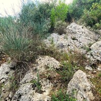 Остров в Греции, Ионические острова, Корфу, 1376 кв.м.