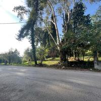 Остров в Греции, Ионические острова, Корфу, 3321 кв.м.