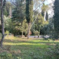 Остров в Греции, Ионические острова, Корфу, 3321 кв.м.
