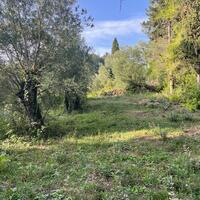 Остров в Греции, Ионические острова, Корфу, 3321 кв.м.