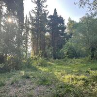 Остров в Греции, Ионические острова, Корфу, 3321 кв.м.