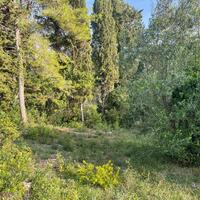 Остров в Греции, Ионические острова, Корфу, 3321 кв.м.