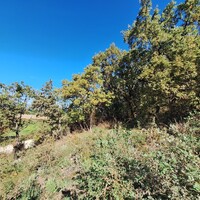 Остров в Греции, Ионические острова, Корфу, 2470 кв.м.