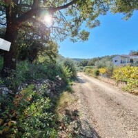 Остров в Греции, Ионические острова, Корфу, 2470 кв.м.