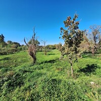 Island in Greece, Ionian Islands, Corfu, 2110 sq.m.