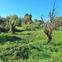 Island in Greece, Ionian Islands, Corfu, 2110 sq.m.