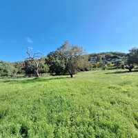 Island in Greece, Ionian Islands, Corfu, 2110 sq.m.