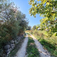 Island in Greece, Ionian Islands, Corfu, 2110 sq.m.
