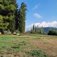 Island in Greece, Ionian Islands, Corfu, 3500 sq.m.