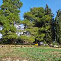 Island in Greece, Ionian Islands, Corfu, 3500 sq.m.