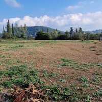 Island in Greece, Ionian Islands, Corfu, 3500 sq.m.